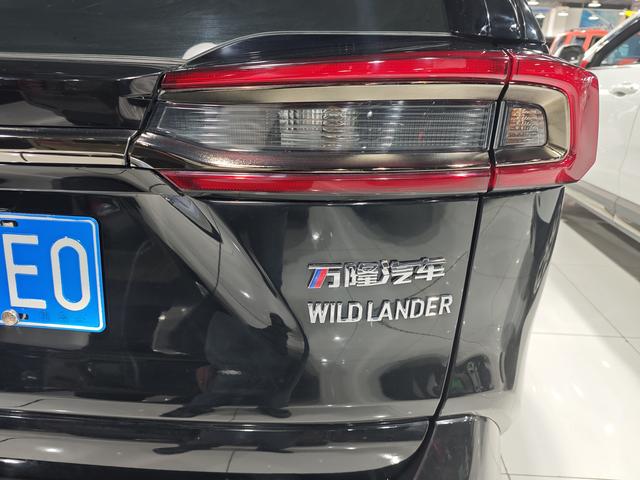 Toyota Weilan 2024, фото 10