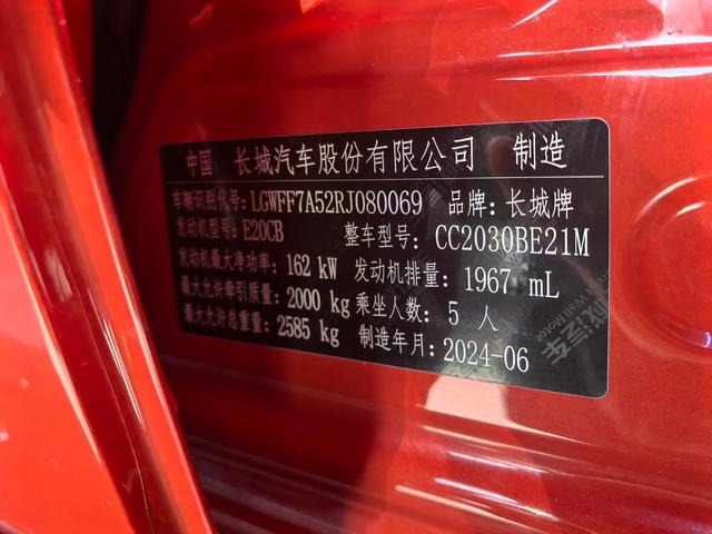 Tank 300 2024, фото 12