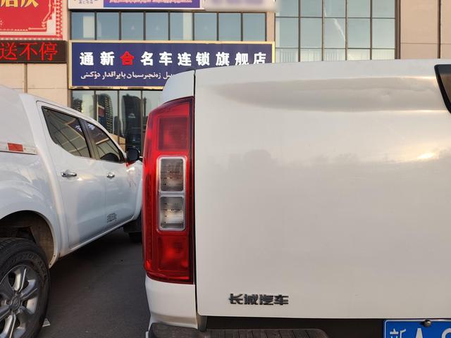 Great Wall Pao 2021, фото 16