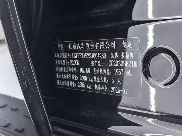 Tank 300 2024, фото 12