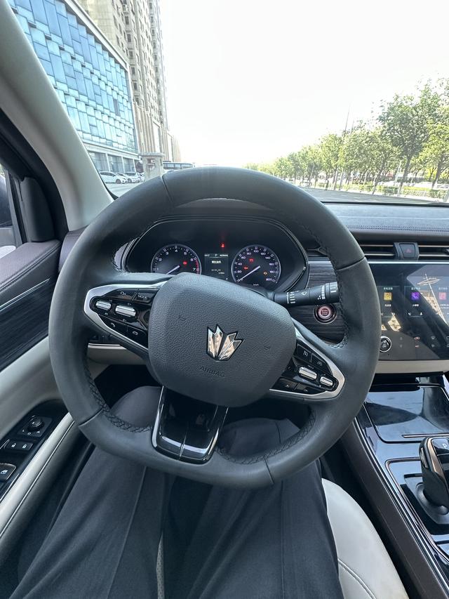 Dongfeng Palanin 2024, фото 10