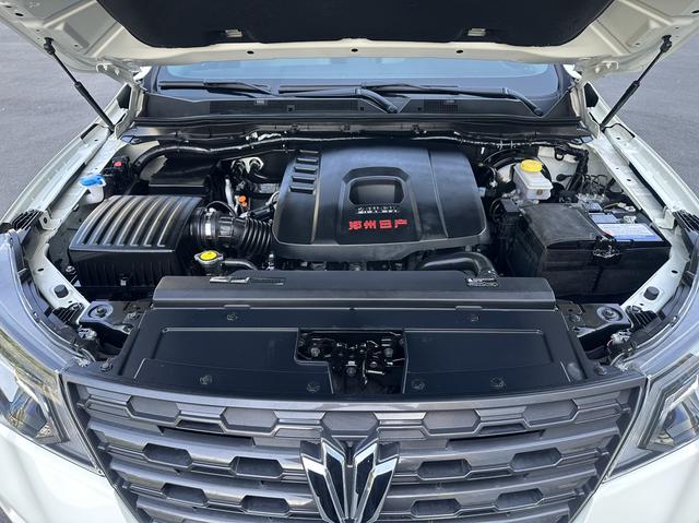 Dongfeng Palanin 2024, фото 11