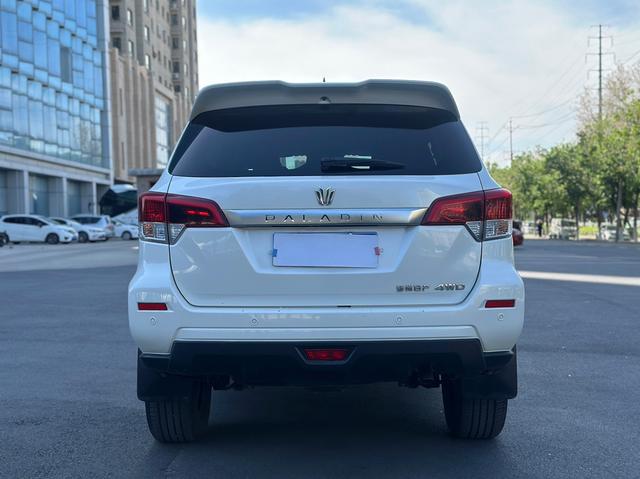 Dongfeng Palanin 2024, фото 11