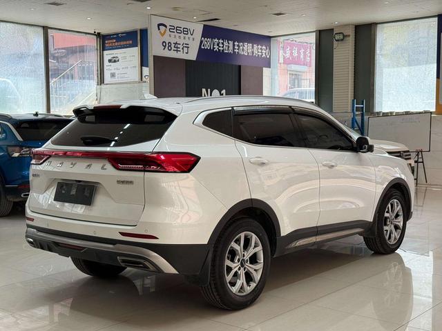 Haval H6 2021, фото 4