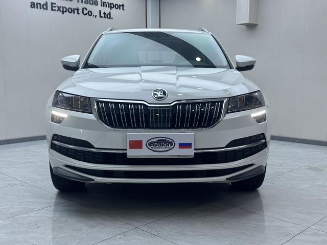 Skoda Karoq 2024, фото 2