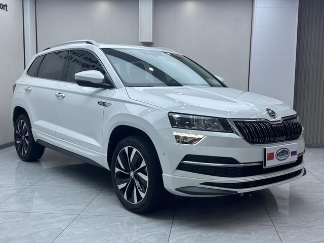 Skoda Karoq 2024, фото 3