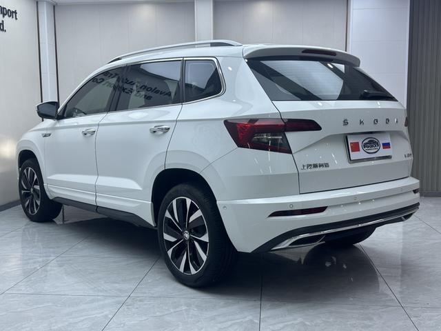 Skoda Karoq 2024, фото 4