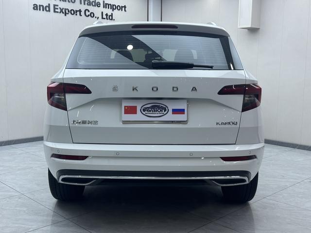 Skoda Karoq 2024, фото 5