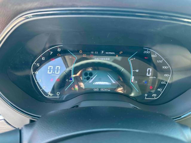 Dongfeng Palanin 2024, фото 15