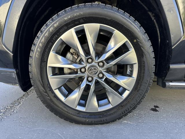 Toyota Weilan 2022, фото 15