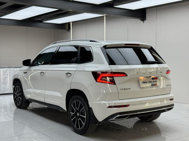 Skoda Karoq 2023, фото 4
