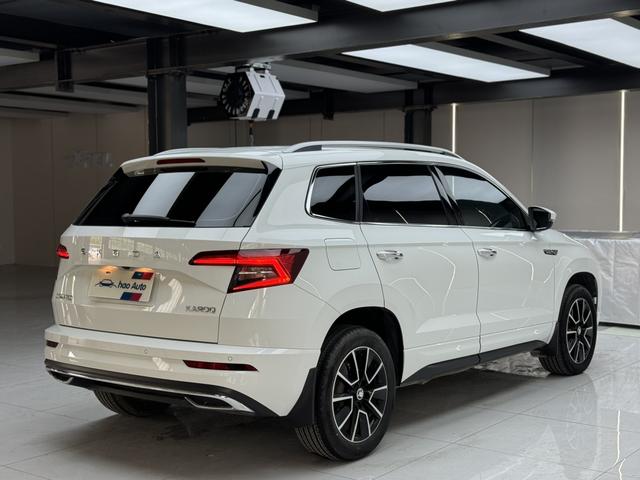 Skoda Karoq 2023, фото 6