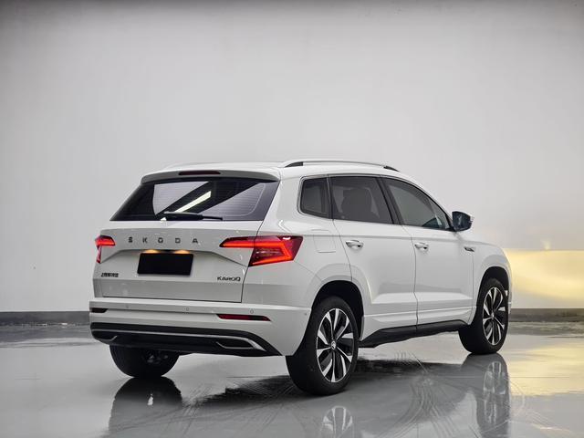 Skoda Karoq 2023, фото 6