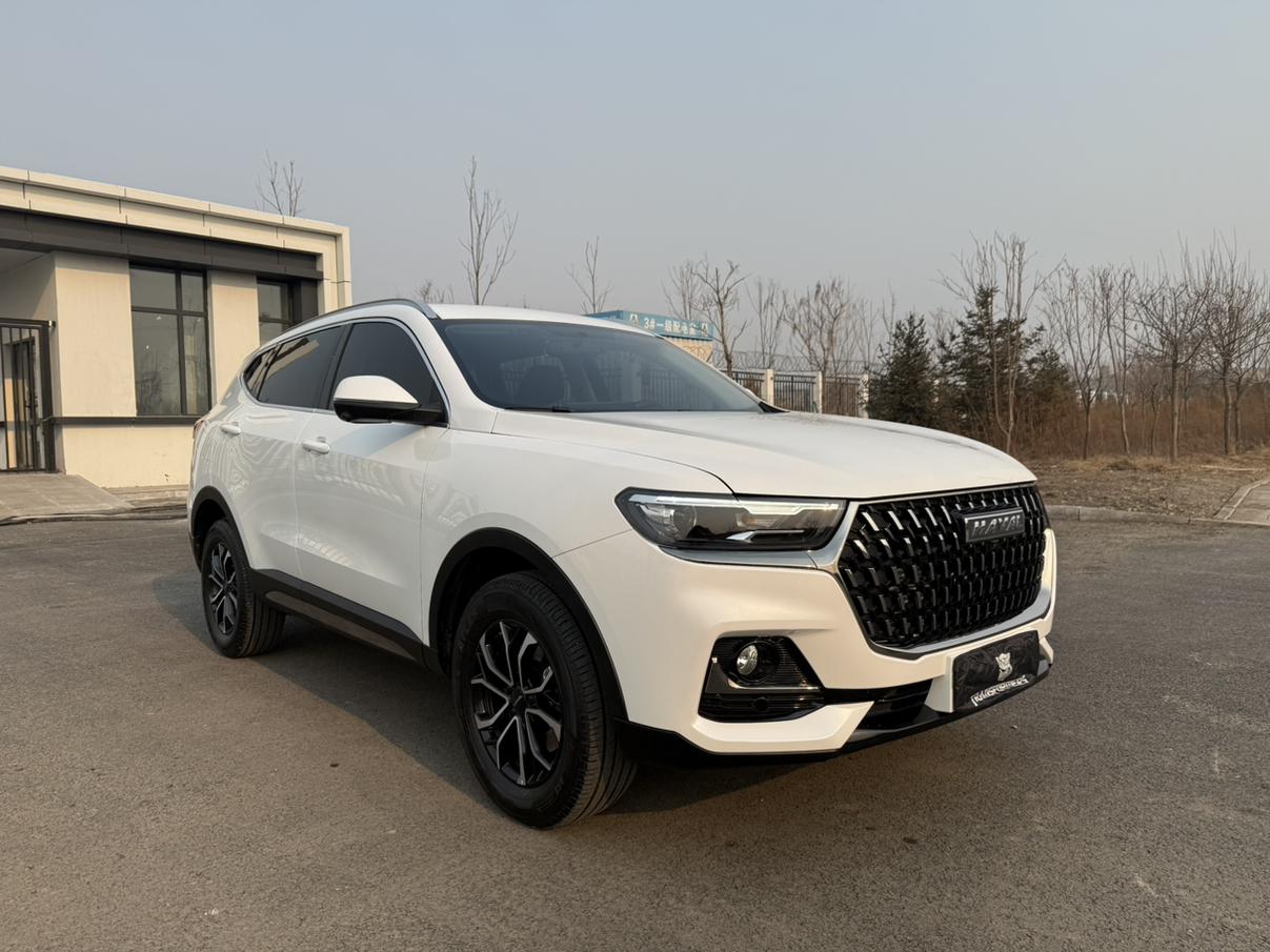 Haval H6 2023, фото 3