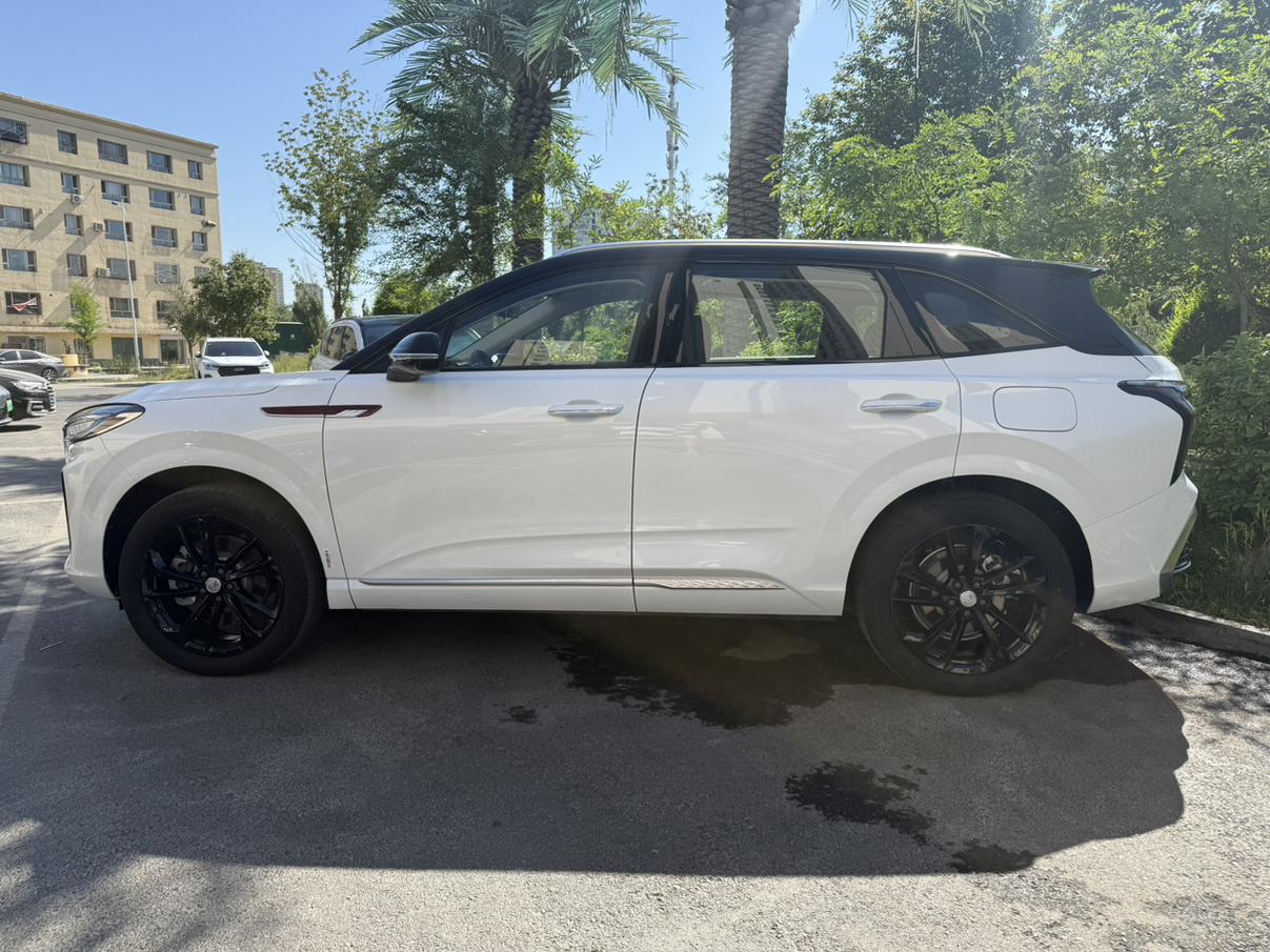 Hongqi HS3 2025, фото 6