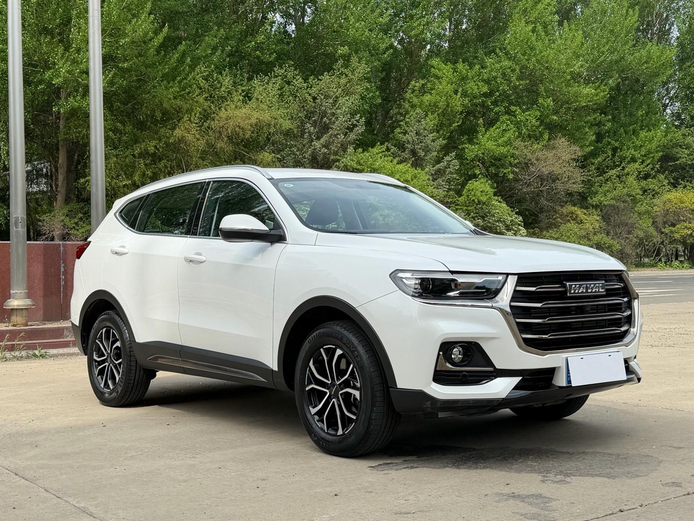 Haval H6 2021, фото 4